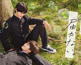 人人操你综合海报剧照