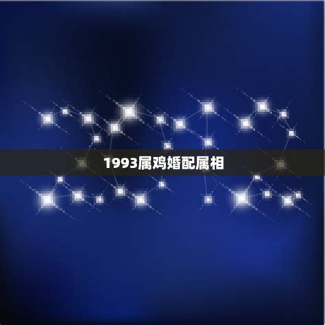 1993属